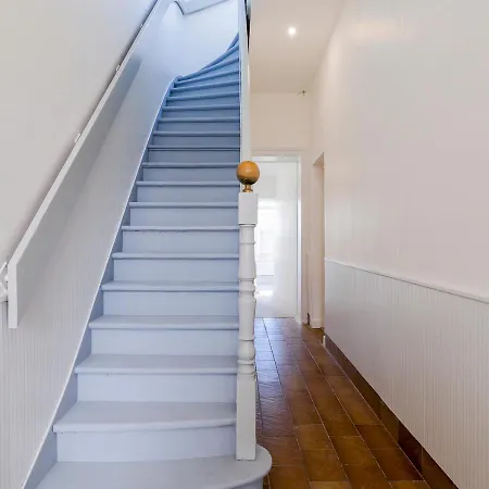 Elegant Rubis Cambrai